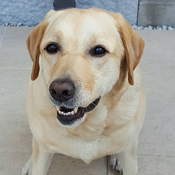 020ebe87 5ef4 47ca 9d3d 18bd6355b3ba