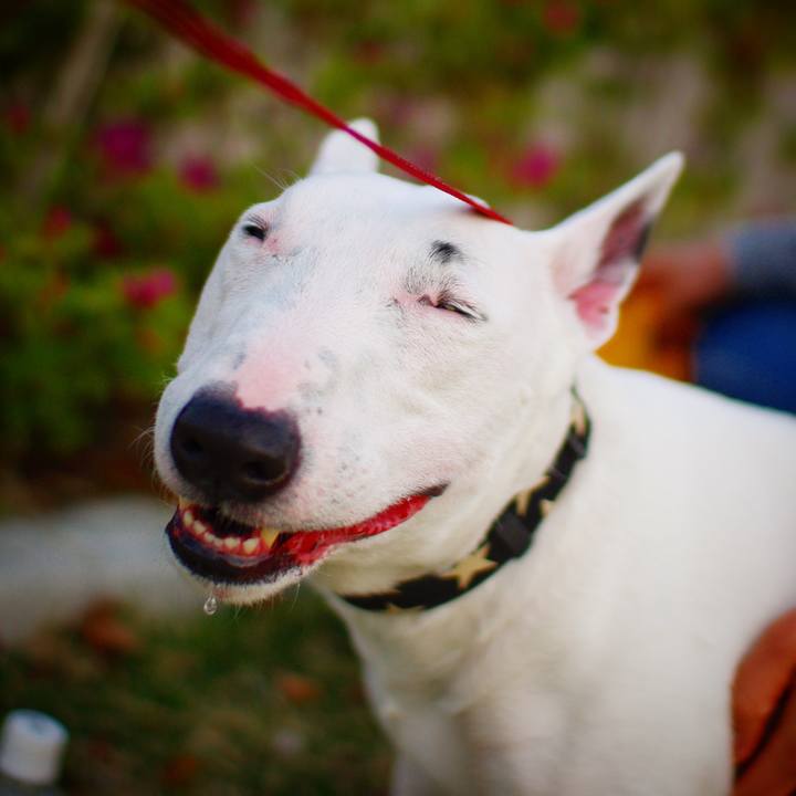 020efd3c e6f7 4ef1 9006 5e6c2cf7c9fa