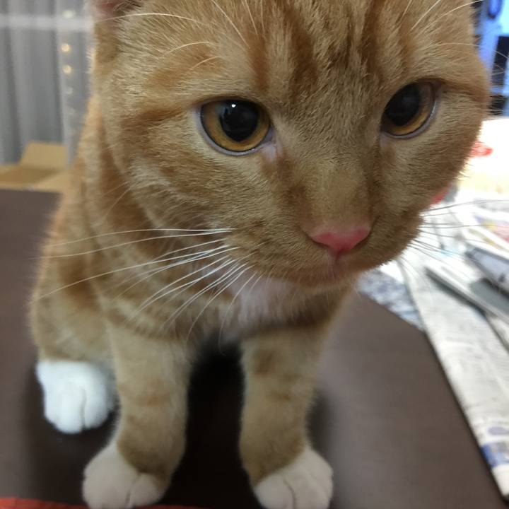 020f0853 4c49 46a7 a0ea 79160eaed5e1