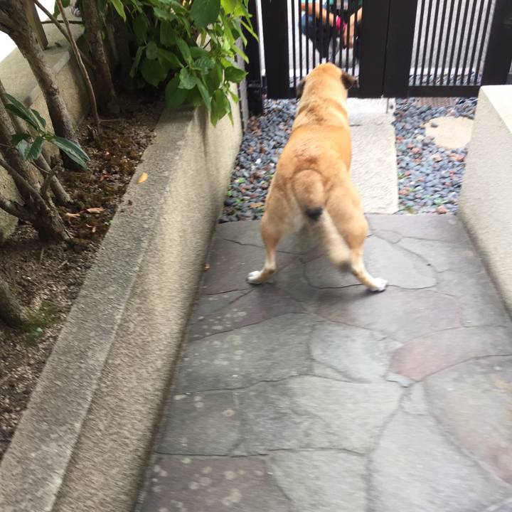 020f7721 4c4d 43e3 9ac4 cd3893ff37b4