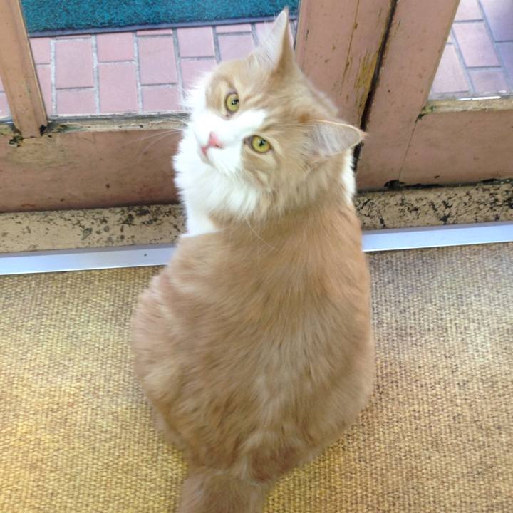 02100508 5354 416d a556 24221c0725ea