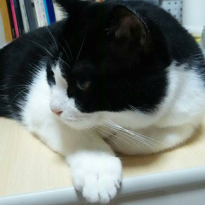 0210b5b8 336b 4800 a6bd 077cecfd2c0d