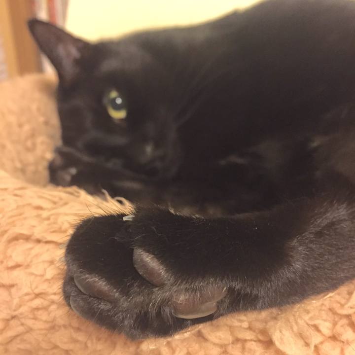 0210fb88 2e56 4f40 9989 2bd137b71d25