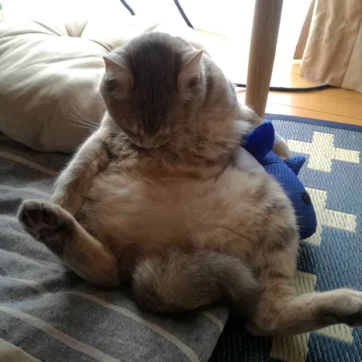 021108f5 3c4d 4a3a a65c c4d36f3b4d7c