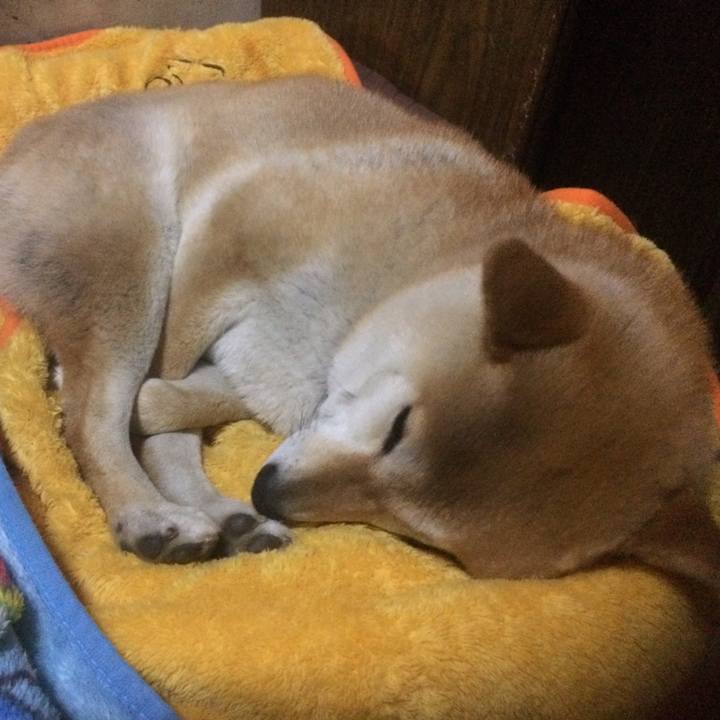 02116379 f2fe 43ad b877 a7ffd41fd7dd