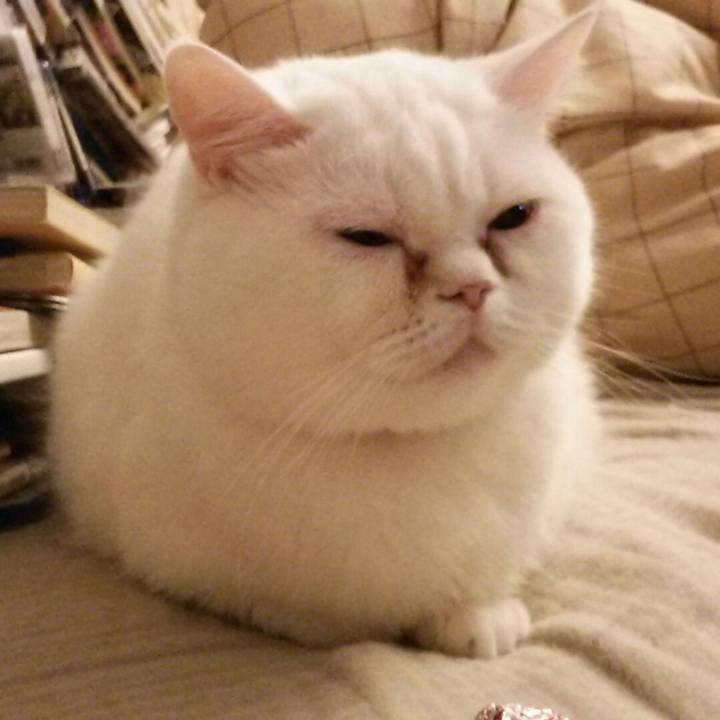 02119488 3516 4cf2 923c 5830fb97f33d