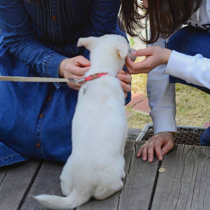 02119a0e fb70 4b71 acbe 813a5050c657