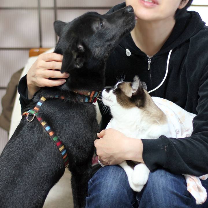 0211b224 b1bb 4af1 8756 03104d1d39af