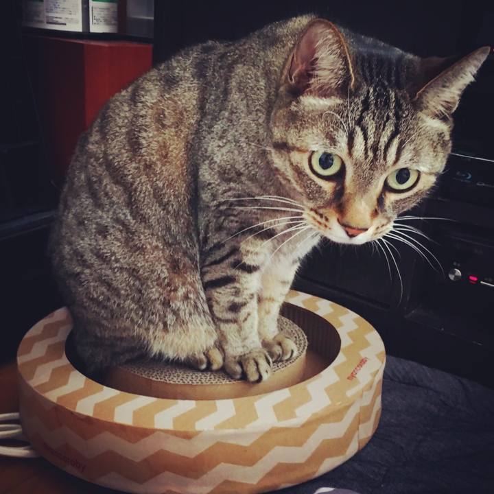 021273bf 270a 4083 b48a 9566815c9e70