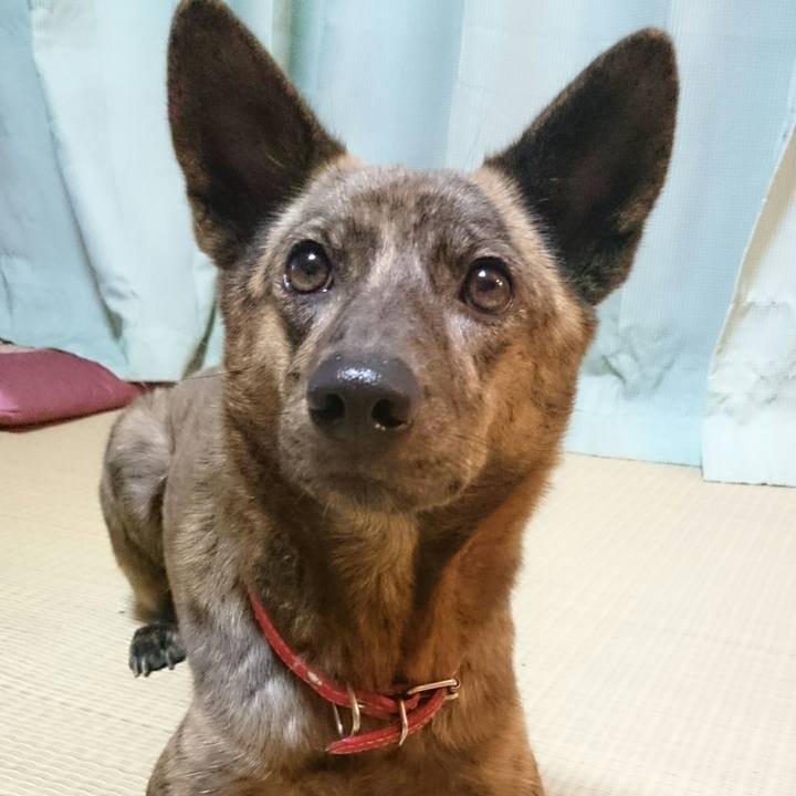 0212b9b6 ad66 42f4 8ba0 1b9e64cc986f