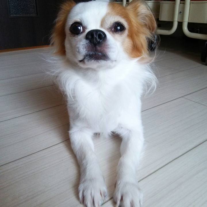 0212d493 94f2 49c9 bb3b 2d61f977af43