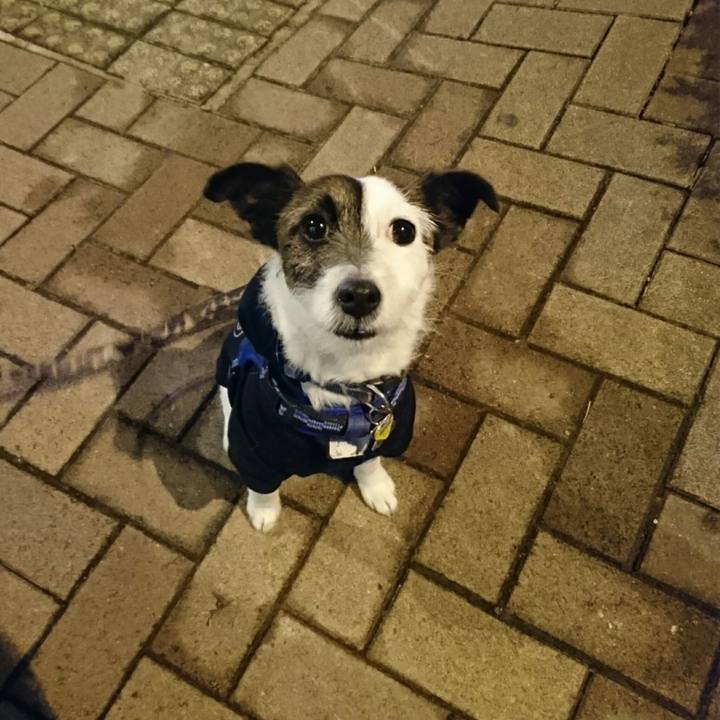 0213689c 67c3 45fa bf37 b698c255a27e