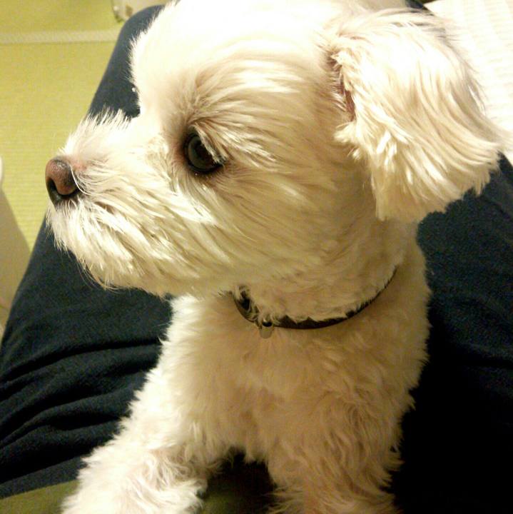 02138fba e96d 41fe ba1b 367f9e447201