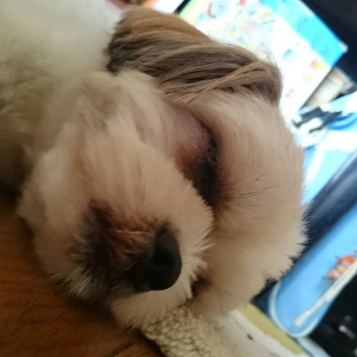 0213ac38 886e 4ae6 ab57 42dfab4b5647