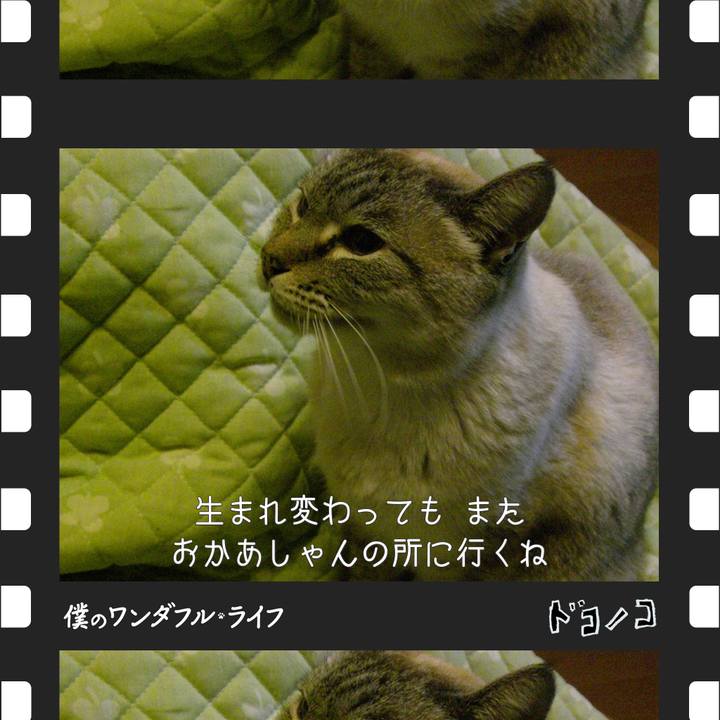 02142f55 5611 4131 9e1c 9a99629938e1