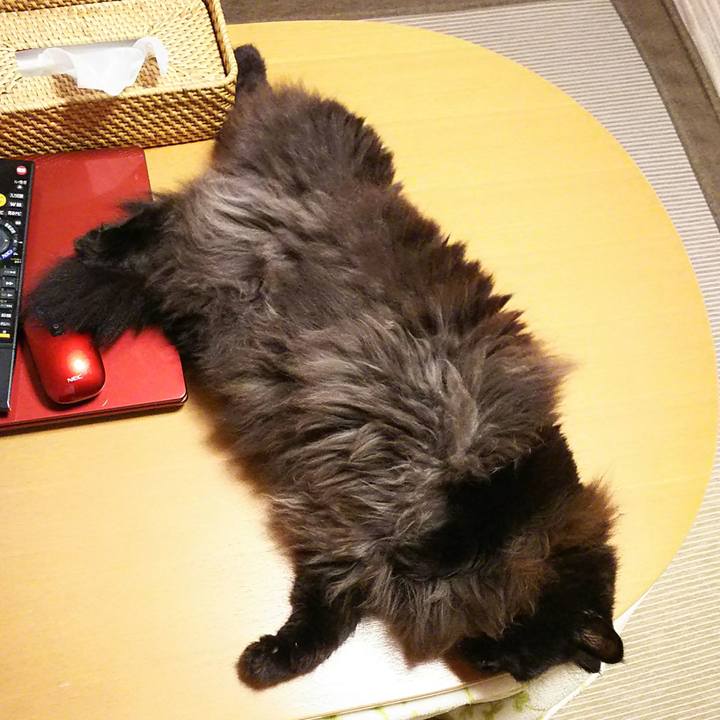 02143ec4 aec8 4a4b 889f ea16307b8d69