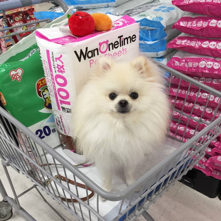 02145bbc f4fd 4abe 93b1 857c1ac010a4