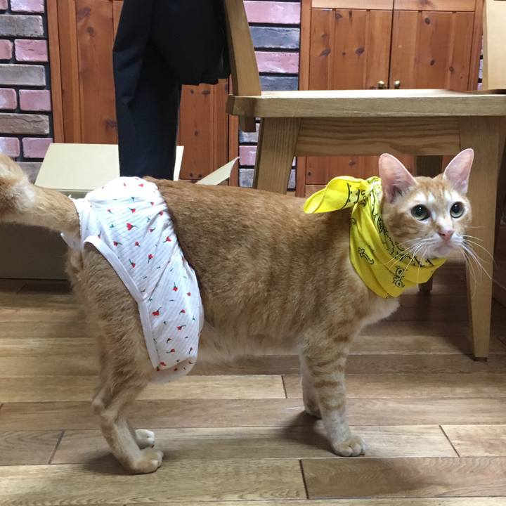 0214ff30 13c2 4a82 8a15 0b1e6d7e7189