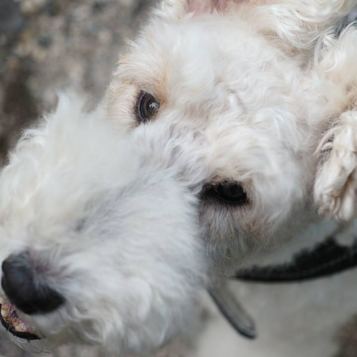 02154385 8e9f 4b4b 8ccf 9e4e62222bb8