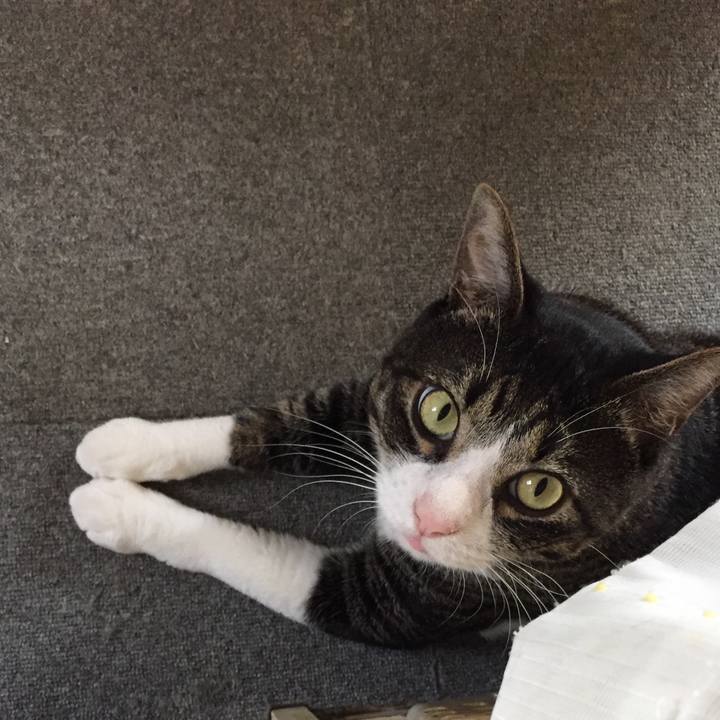 02155324 927a 4b3f a059 8e40694aed2d