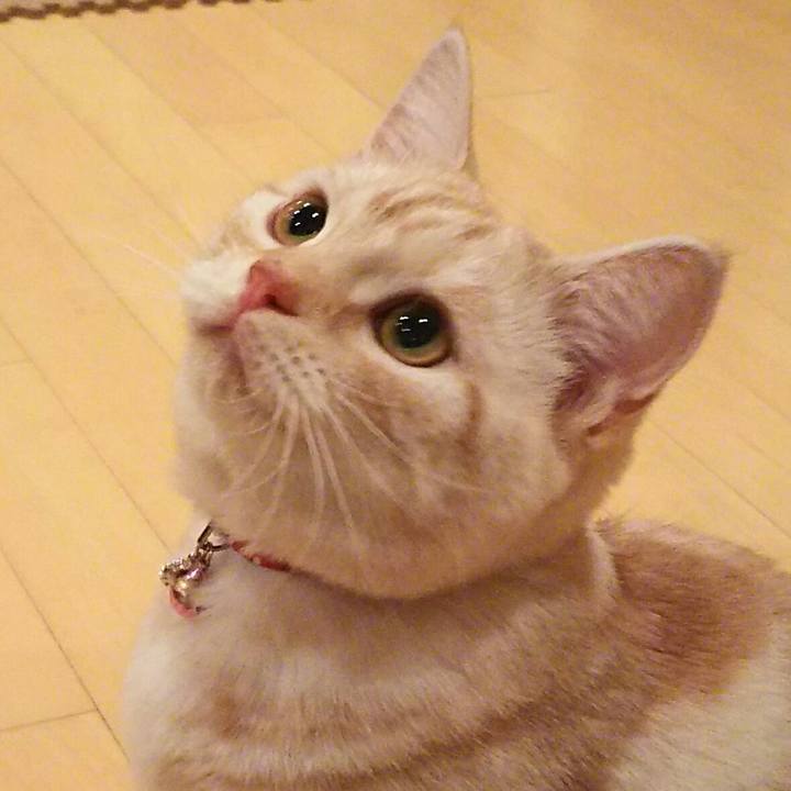 021614dd b1d3 4581 91e8 ec69b717e30d