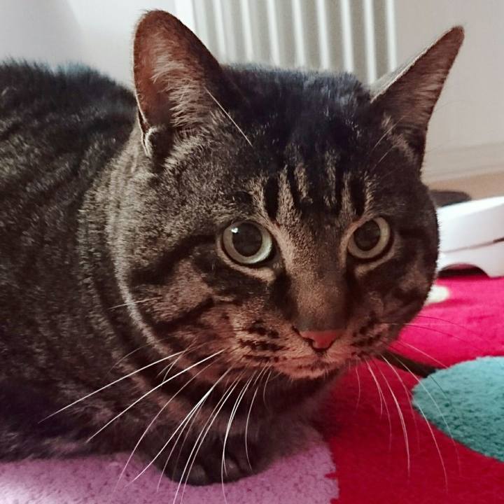 0216986e 127a 4270 ae9a 1ac918e79744