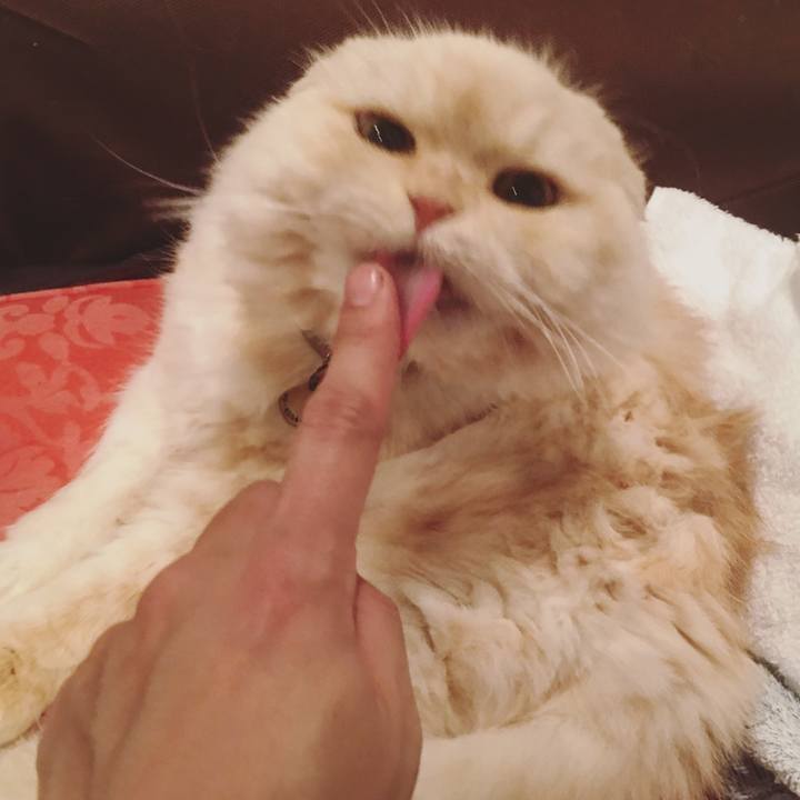 0216a03e 97ed 4021 b4b8 5c6dc1f8c5e4