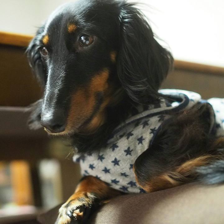 0217d48f eb74 4d1b a354 e7a72f63b60c