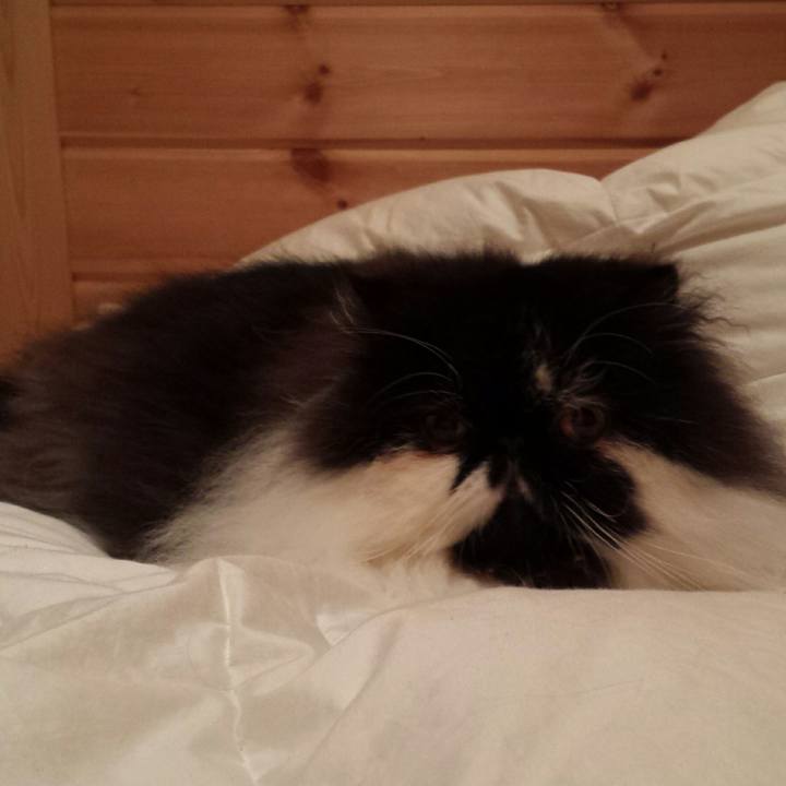 0217f382 25f0 4123 9e9a 873645971c4b