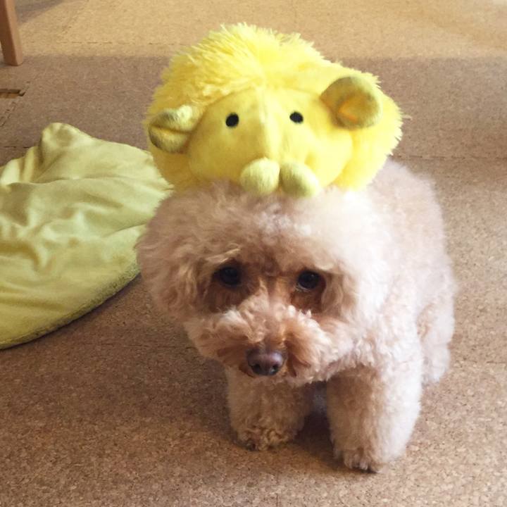 02182204 0d12 4fac 8fa7 c129dc622ee7