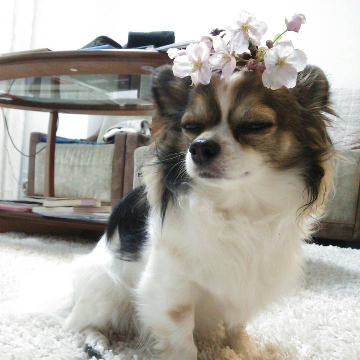 02189202 db2c 4c76 9d6a b4ee3b0f22d7