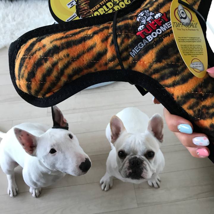 0218fdef 66ed 4dd2 981a 1eee580f335f