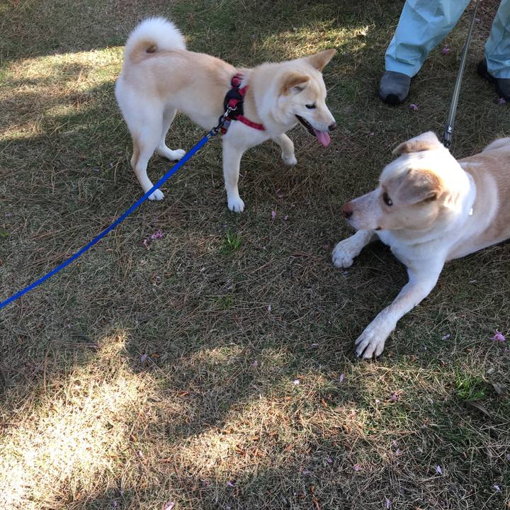 02195e29 9d8d 4b49 b1c6 66aab360571e