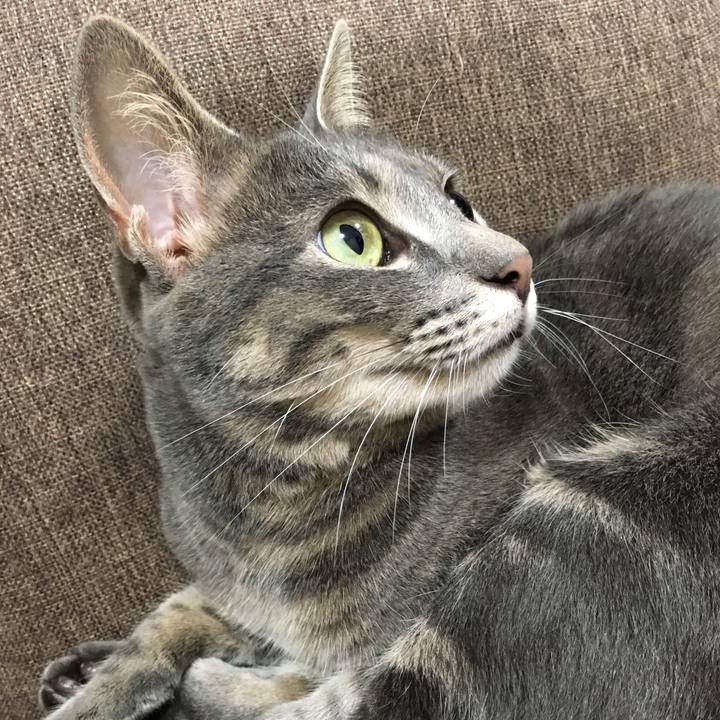 0219b87e 27ff 43d1 bb0b 7ab2cb418fe0