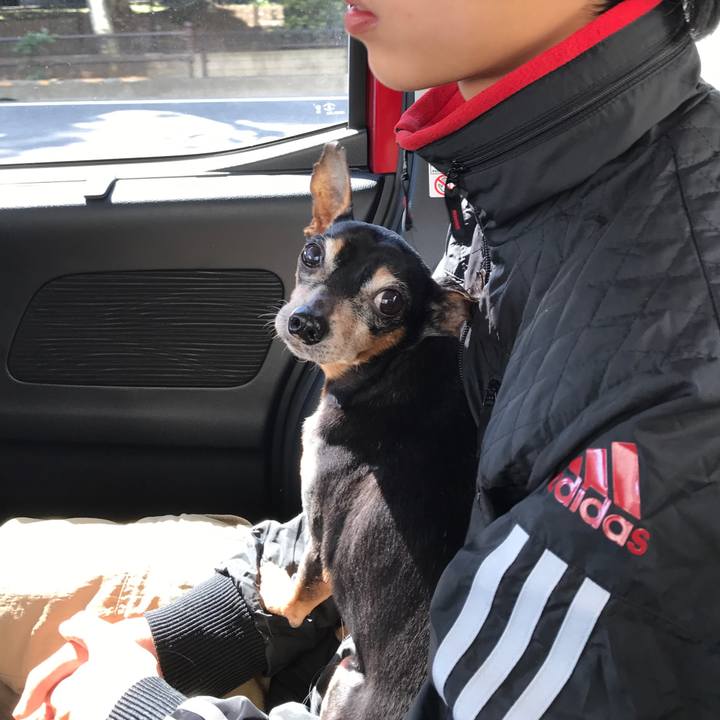 021aa103 b203 4d20 8361 3773e62e98a4