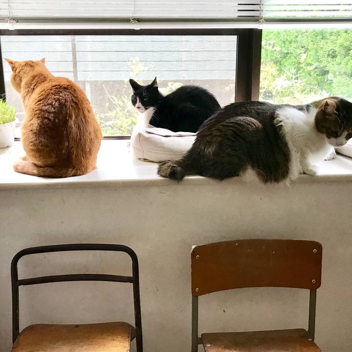 021aa1b6 056d 40ea 95b3 1cfc76a5614d