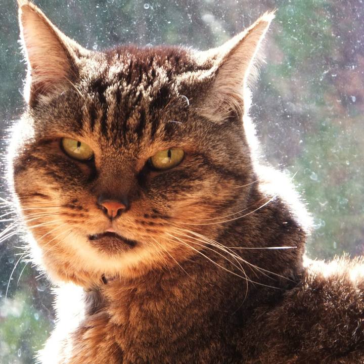 021b1381 32b7 4f4d 8d48 161b3e54b200