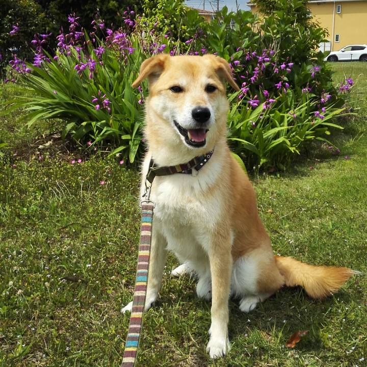 021b262e c763 4b3f b858 ac9dc6d3f2b1