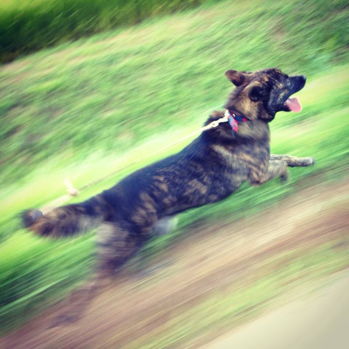 021c3c1e 15b3 49b5 a60a 25067b80f665