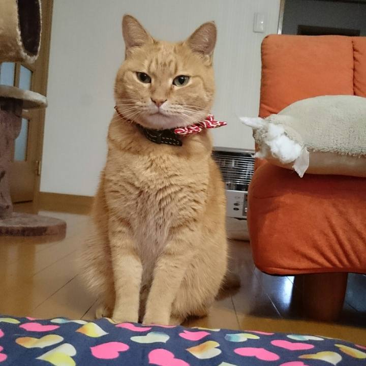 021cbf2d 4a16 44df 9ae6 d51c2a594311