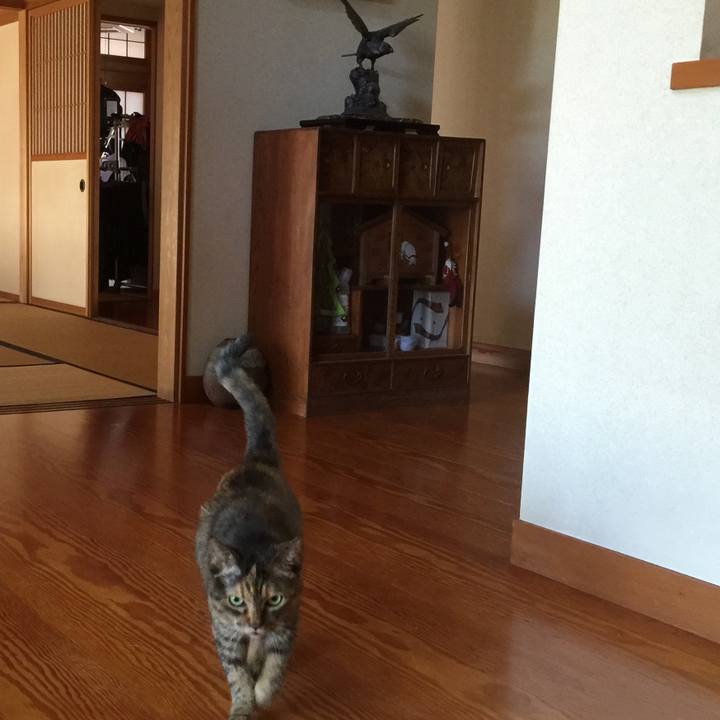 021d4577 59f4 41c1 8feb a6fada6c9fa8