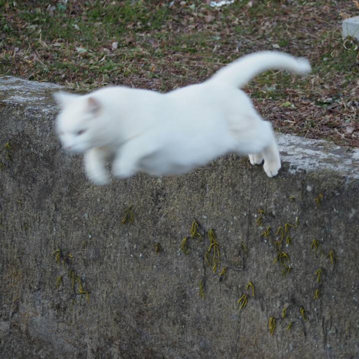 021d9f52 d888 46b8 ad45 6946542a84f1