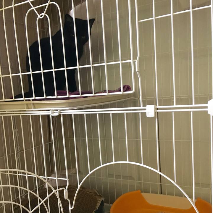 021de0d1 fa8d 4e20 85fc c43d1b811158