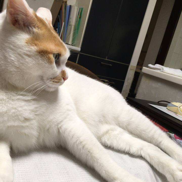 021df0bb 7dfa 4a8b bb8c 5dbe5d333907