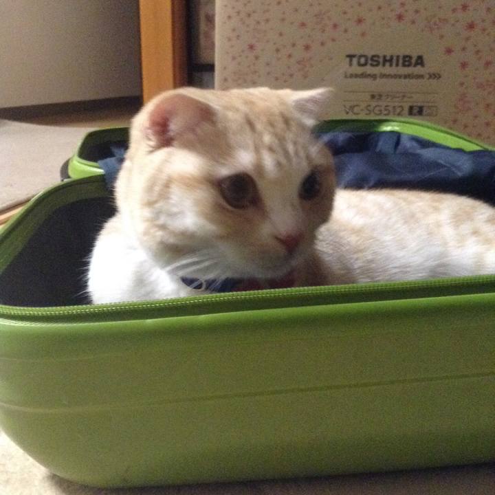 021df244 e12d 4961 8d07 ad0e40a84e34