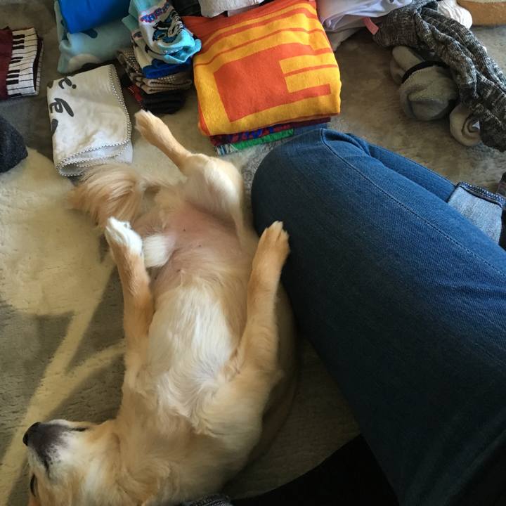 021dfe07 e295 4a38 b390 69ab71906b7e