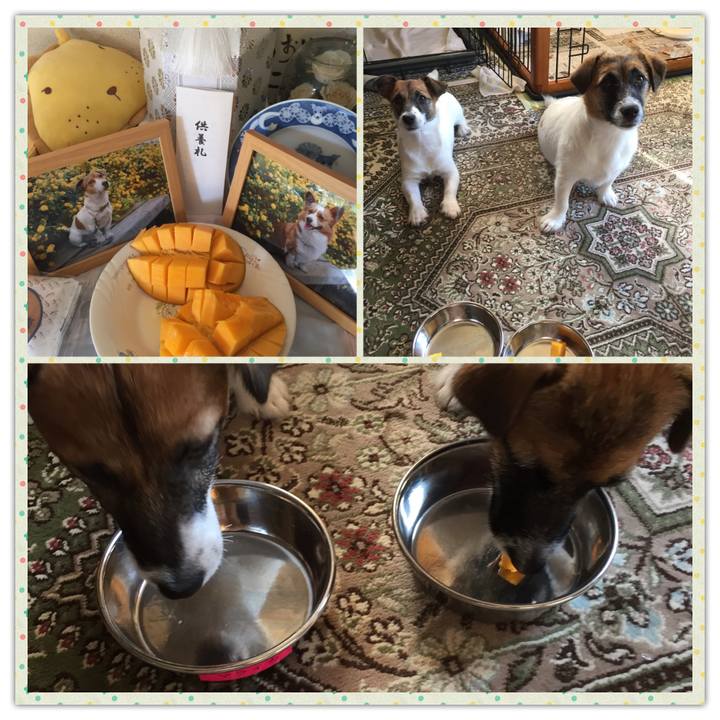 021e2a03 4a97 4121 ab85 a49d2ef7817d