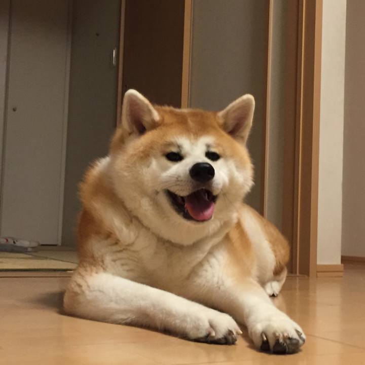 021eb442 9170 41fb 8fc2 0b6299bc1c2c