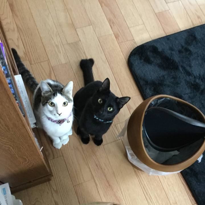 021efae4 8445 416f 94a3 ae670a354d75