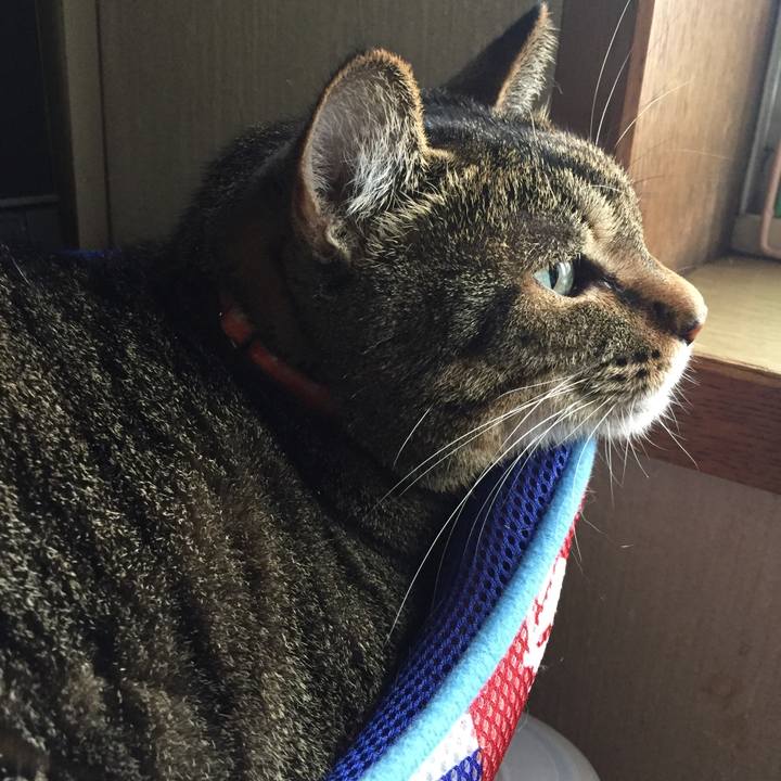 021fee09 043d 4083 8a78 a11b72b89ba0